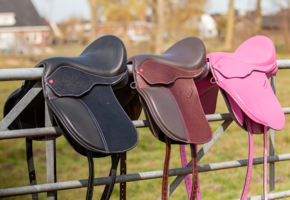 Elore Kinder­sattel