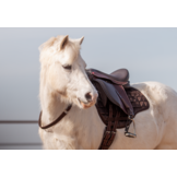 Elore treeless kids saddle