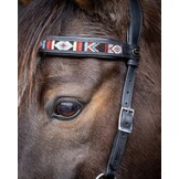 Sierra sidepull bitless bridle