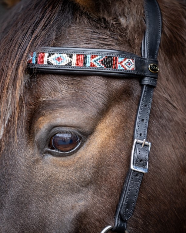 Sierra sidepull bitless bridle