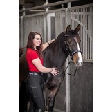 Sierra sidepull bitless bridle