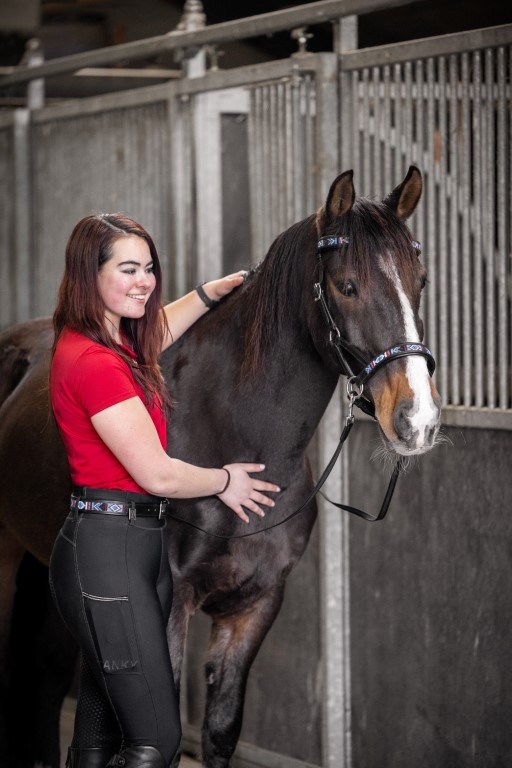 Sierra sidepull bitless bridle