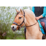 Hack-Halo hackamore scharen