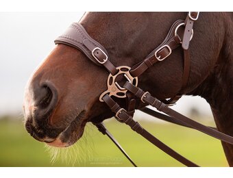 Hack-Halo-Pro hackamore