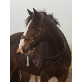 Hack-Halo-Pro Hackamore Schenkel