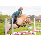 Hack-Halo hackamore shanks