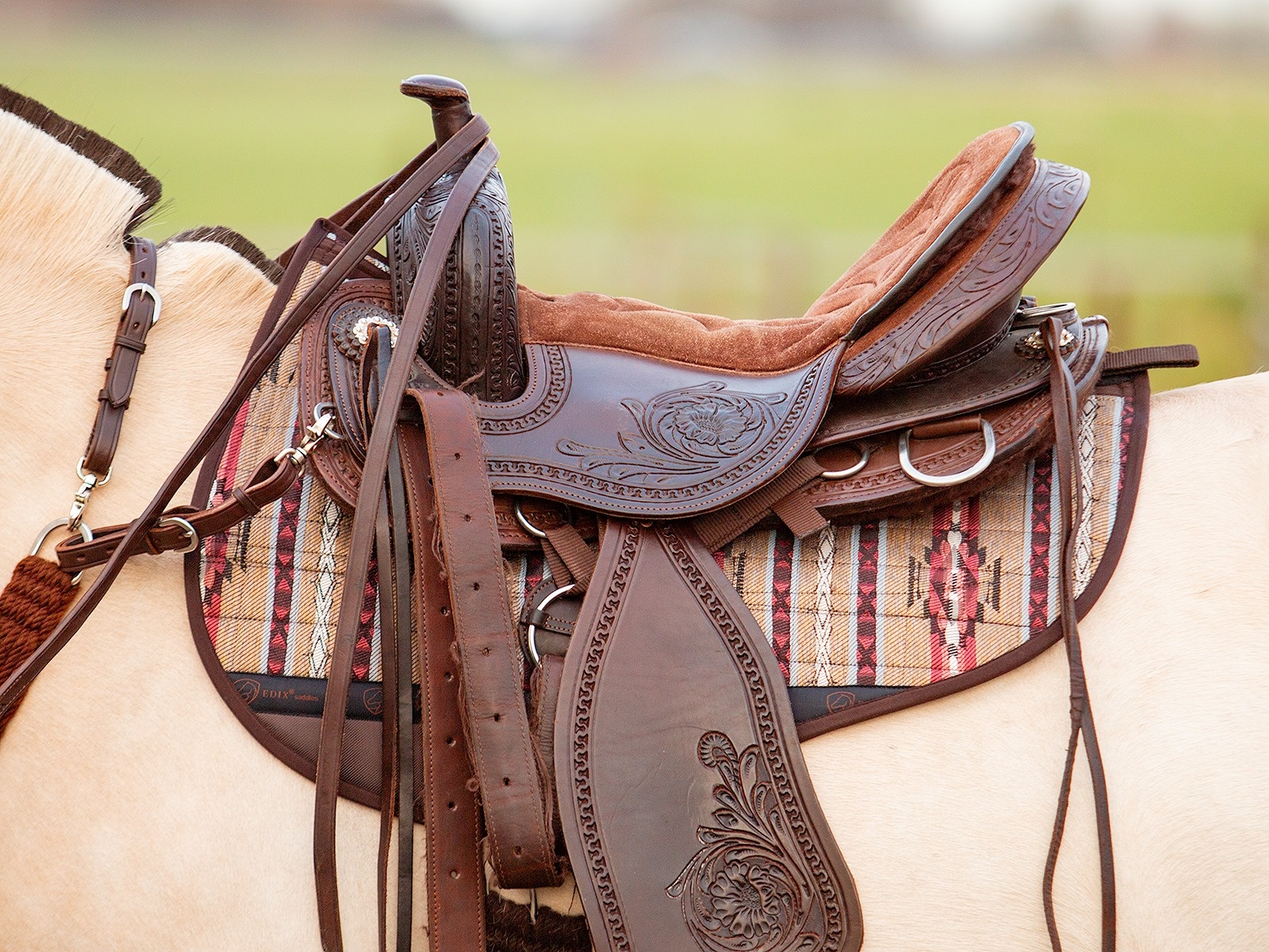 Westernpad roundskirt Filz