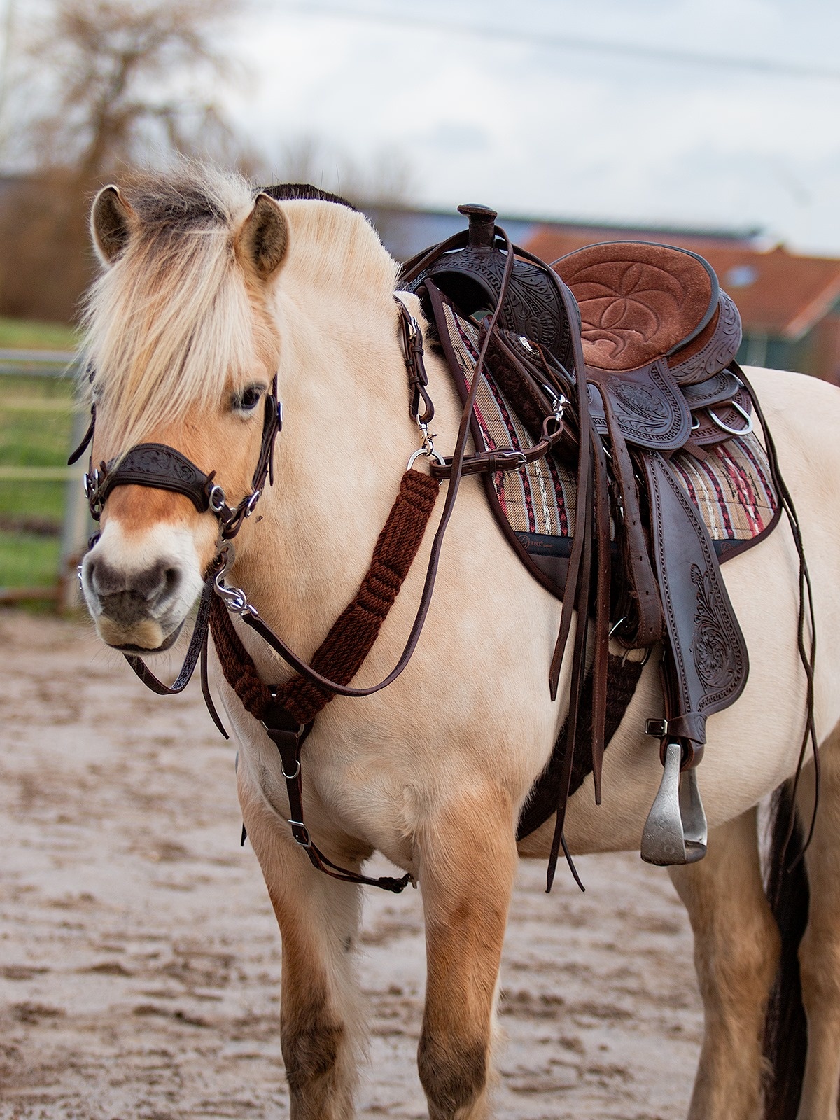 Westernpad roundskirt Filz