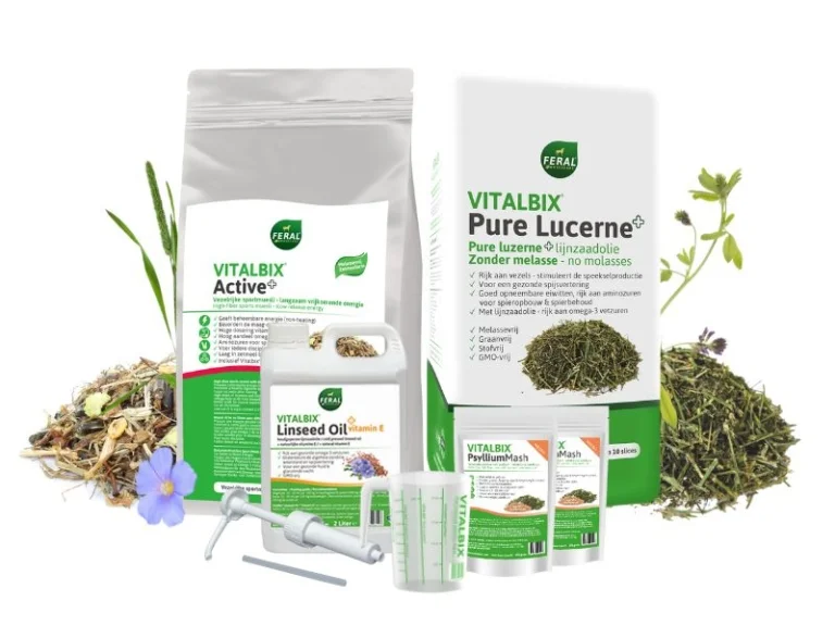 Value Pack Active+ 22 kg, Lucerne + Linseed Oil 5L