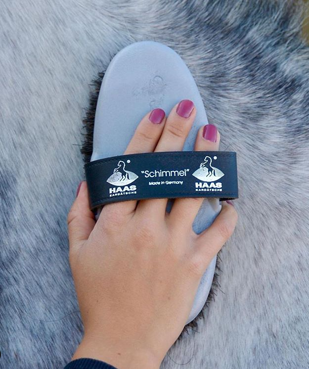 Pflegepaket für weiße Pferde