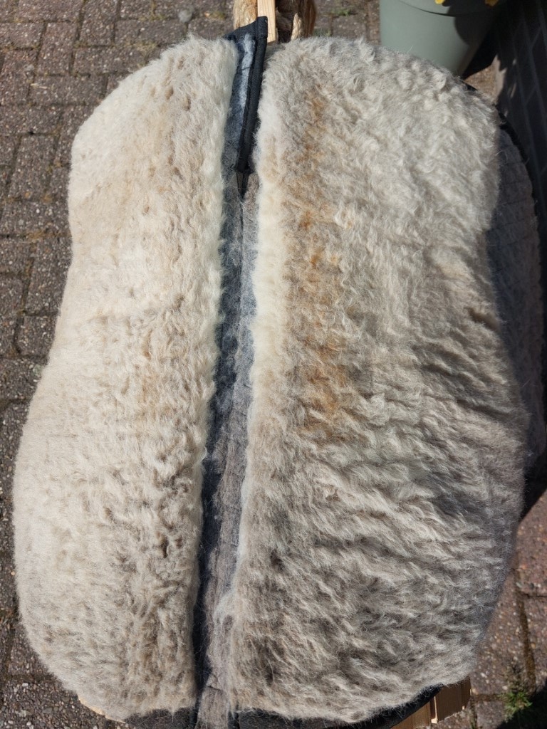 Gebrauchte Cheyenne Soft Walk Merlyn Pad Größe 0–1 schwarz