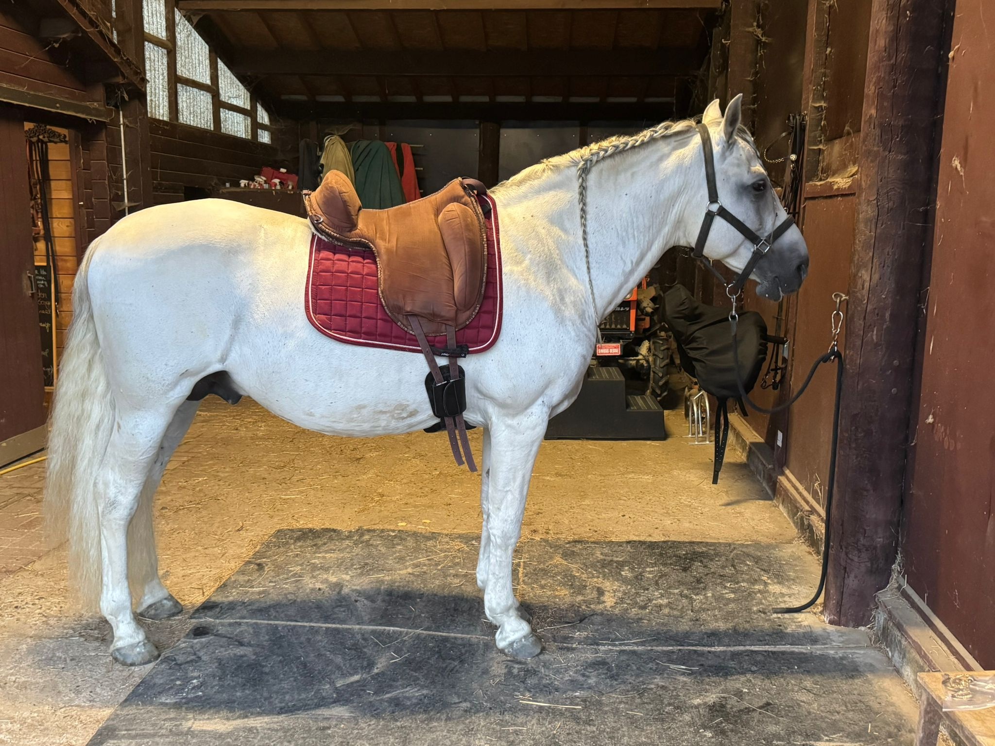 TESTBAREBACKPAD Physio Support