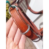 Fotoshoot Viena Fine kaptoom shetlander bruin