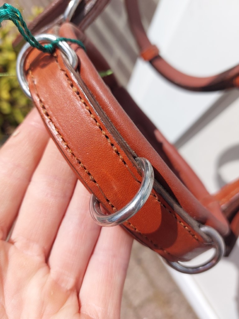 Foto-Shooting Viena Fine Kapzum Shetty braun