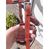 Foto-Shooting Viena Fine Kapzum Shetty braun