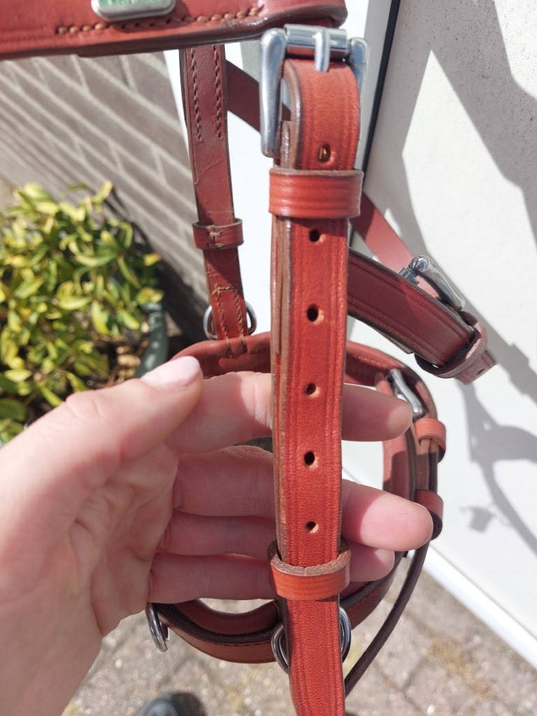 Foto-Shooting Viena Fine Kapzum Shetty braun