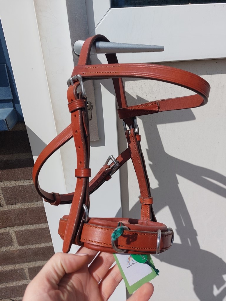 Fotoshoot Viena Fine kaptoom shetlander bruin