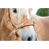 Hackamore bridle ED4-Rose