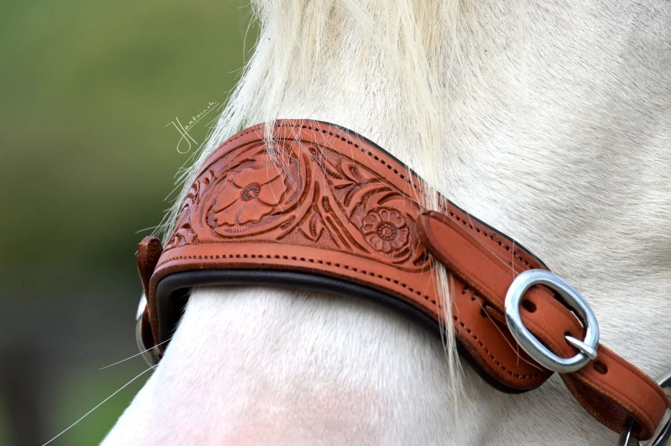 Rose hackamore hoofdstel