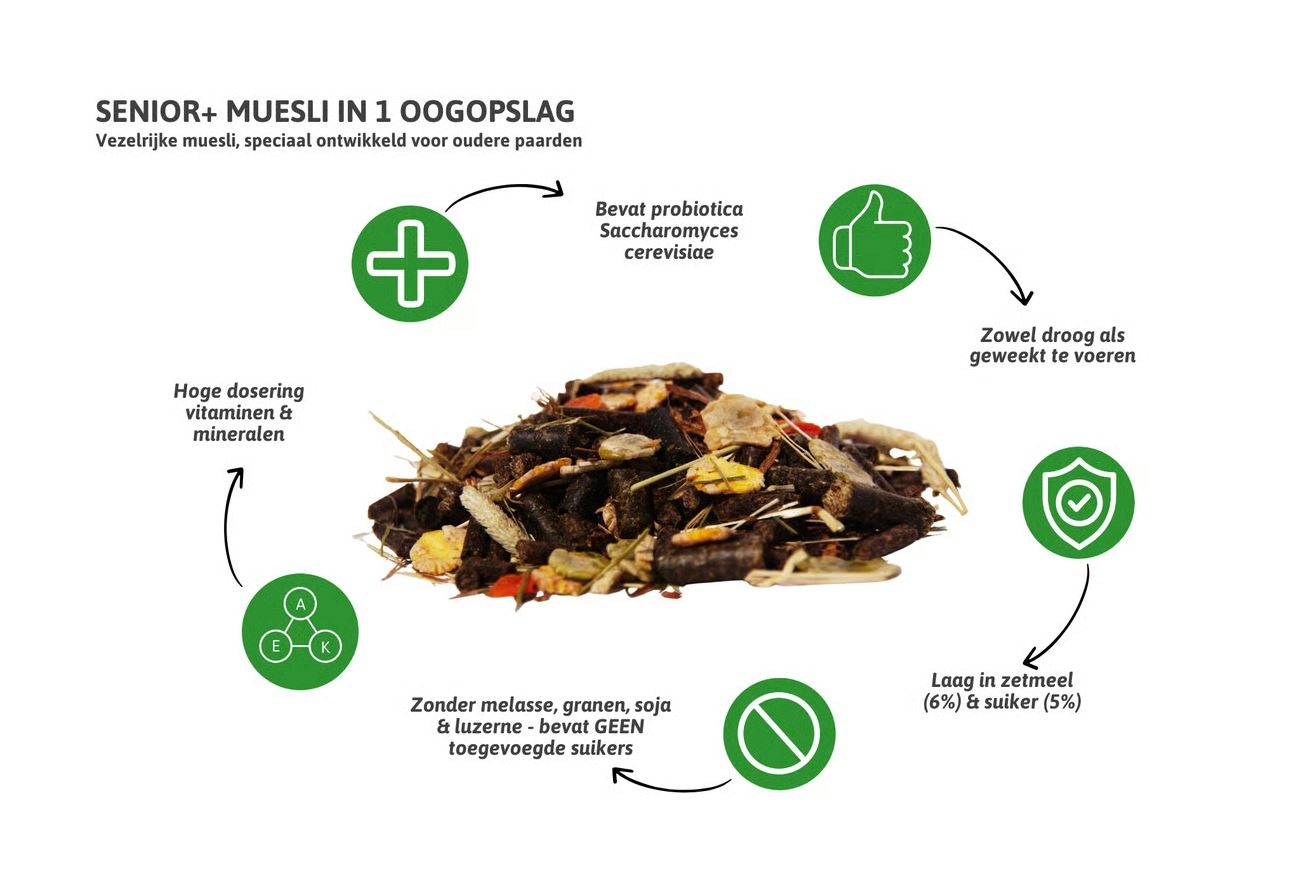 Senior + Muesli voor oudere paarden