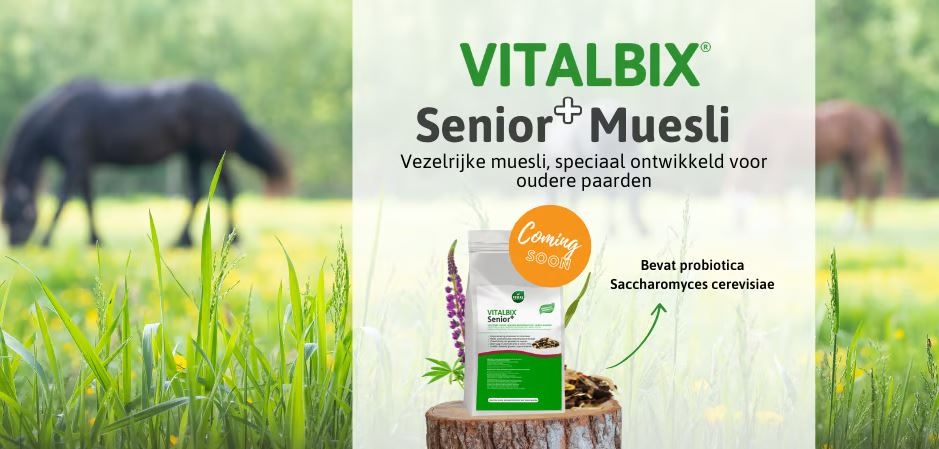 Senior + Muesli voor oudere paarden