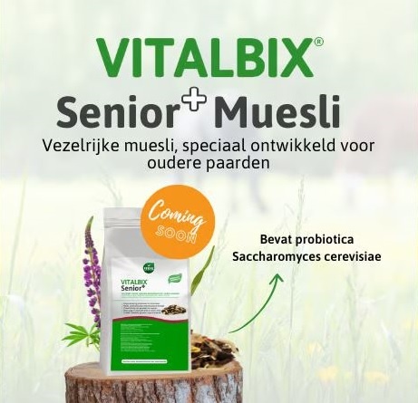 Senior+ Müsli für ältere Pferde