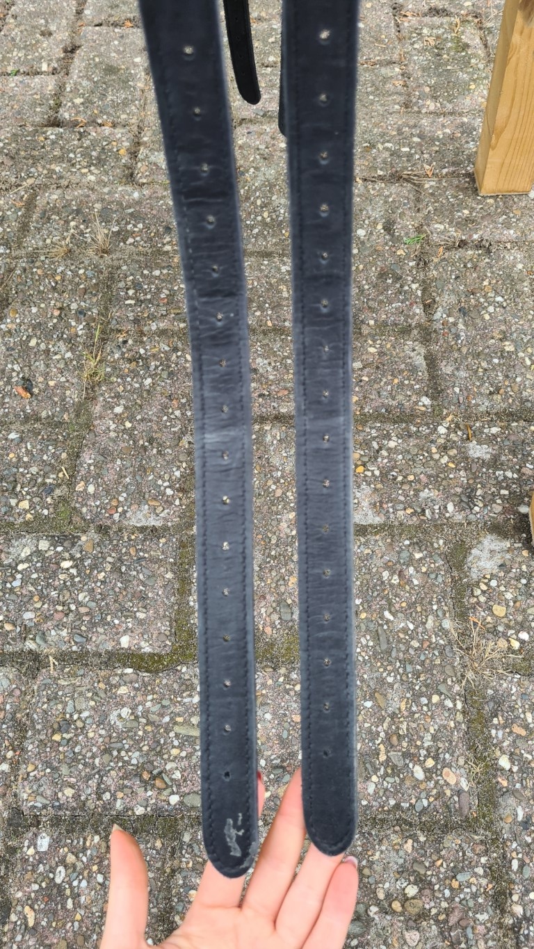 Second hand Evolution base SB with Dressage Trail seat 18 inch black with panels