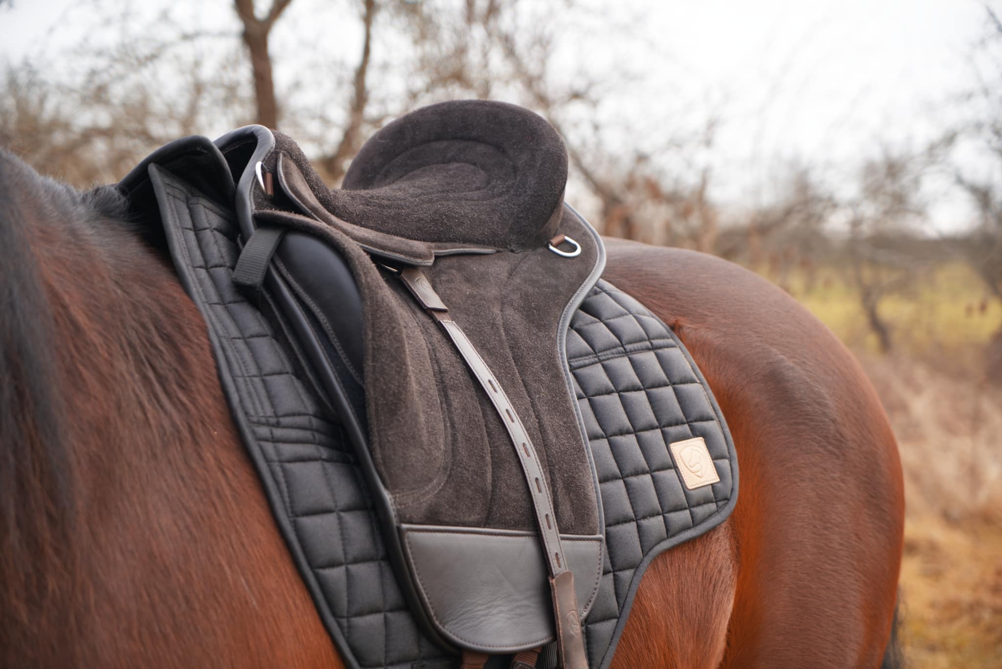 Union maat L TESTBAREBACKPAD