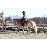 Equis treeless western saddle leather