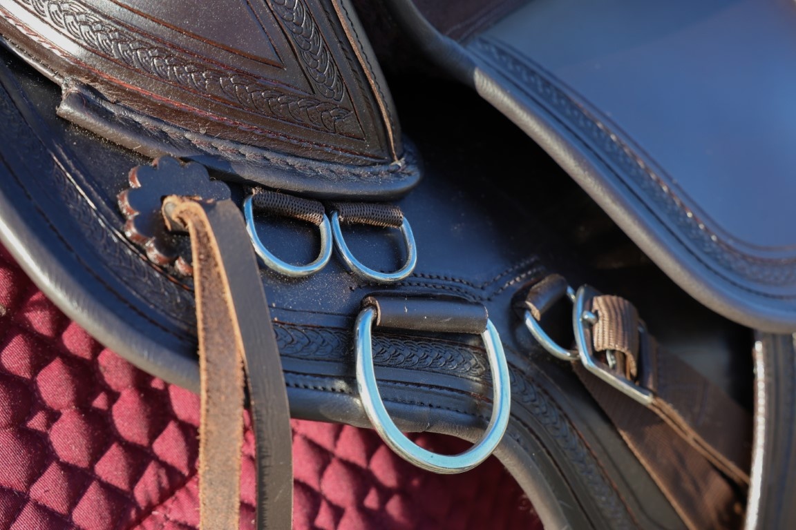 Equis baumloser Westernsattel Leder