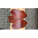 Second hand Startrekk Western fender short havanna