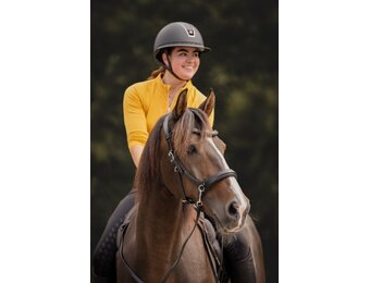 Moonlight sidepull bitless bridle