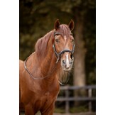 Moonlight sidepull bitless bridle leather