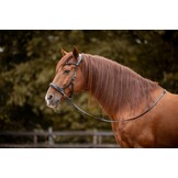 Moonlight sidepull bitless bridle leather