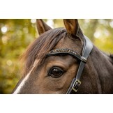 Moonlight sidepull bitless bridle leather