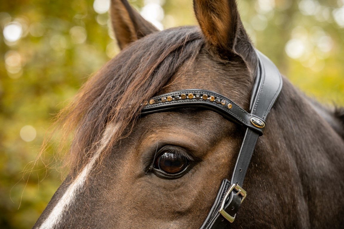 Moonlight sidepull bitless bridle leather