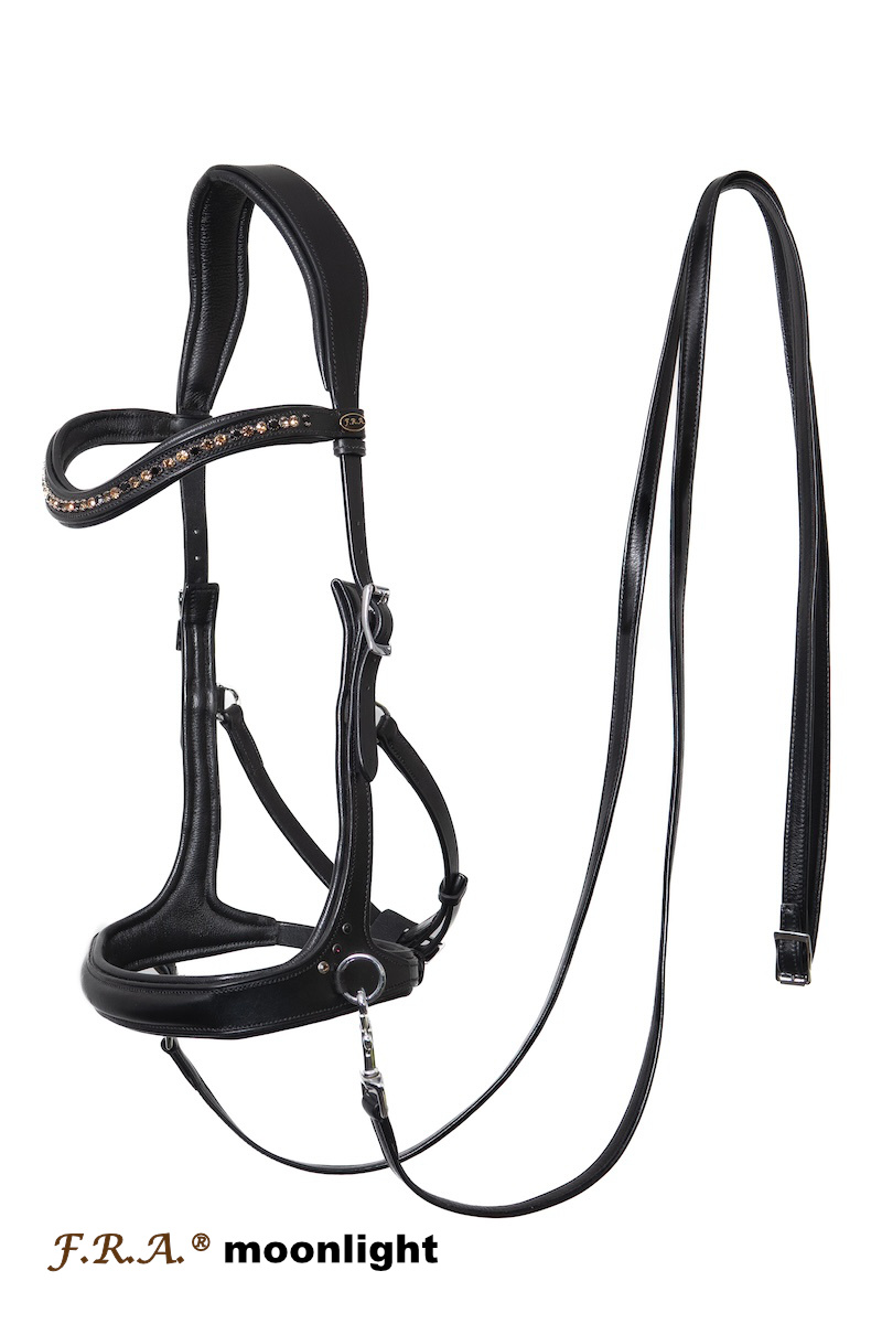 Moonlight sidepull bitless bridle leather