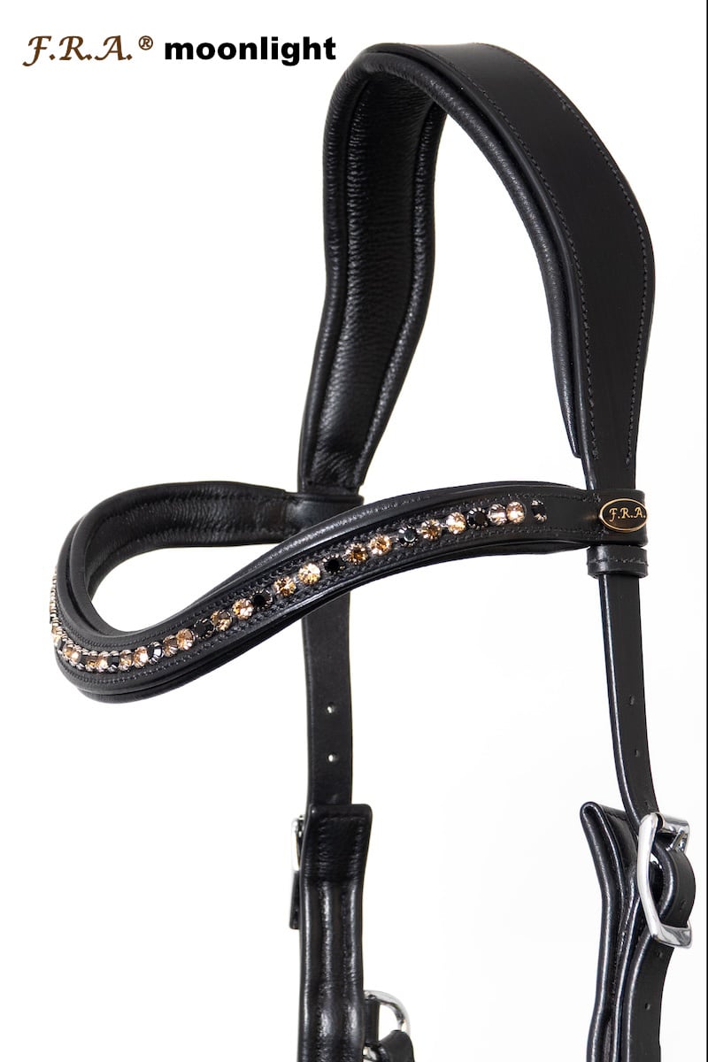 Moonlight sidepull bitless bridle leather