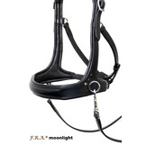 Moonlight sidepull bitless bridle leather