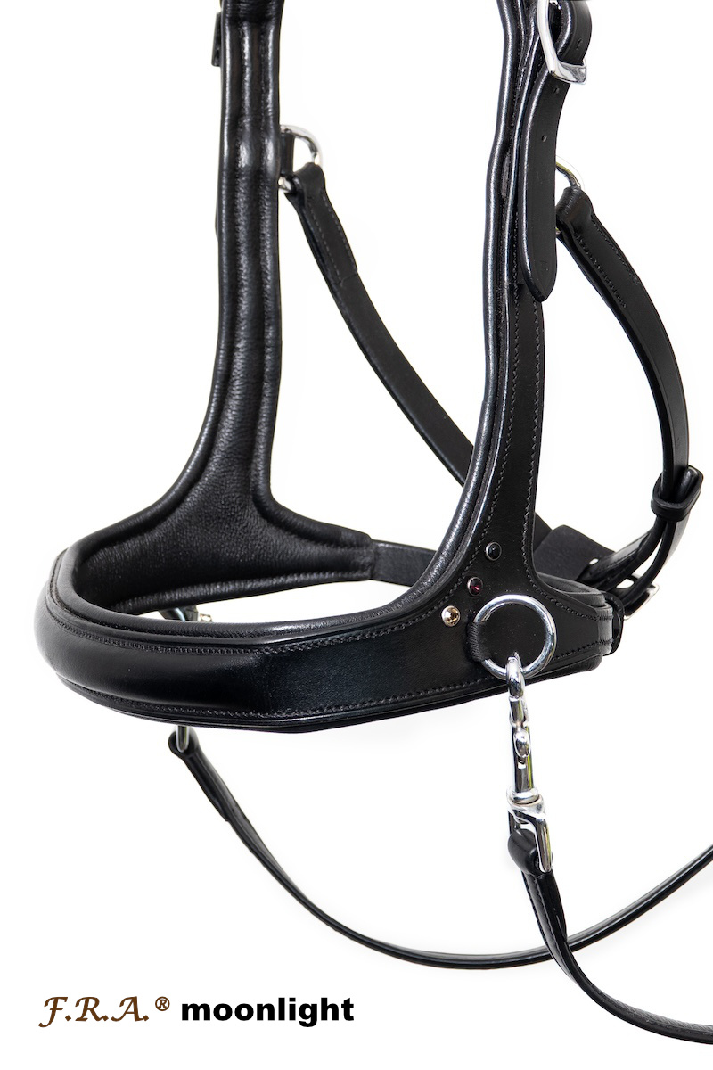 Moonlight sidepull bitless bridle leather