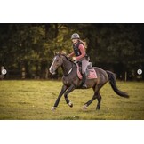 Halsteugel rijring Whisper leder