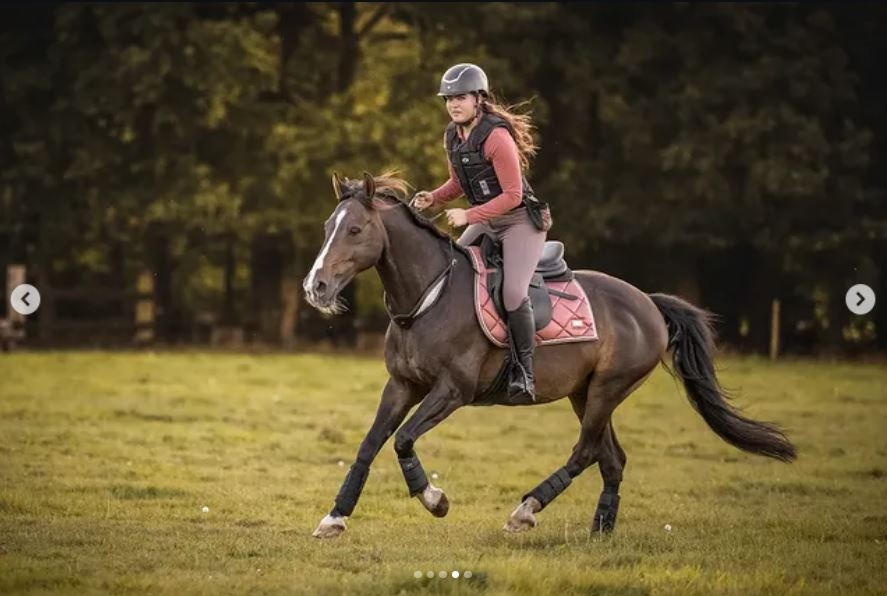 Halsteugel rijring Whisper leder