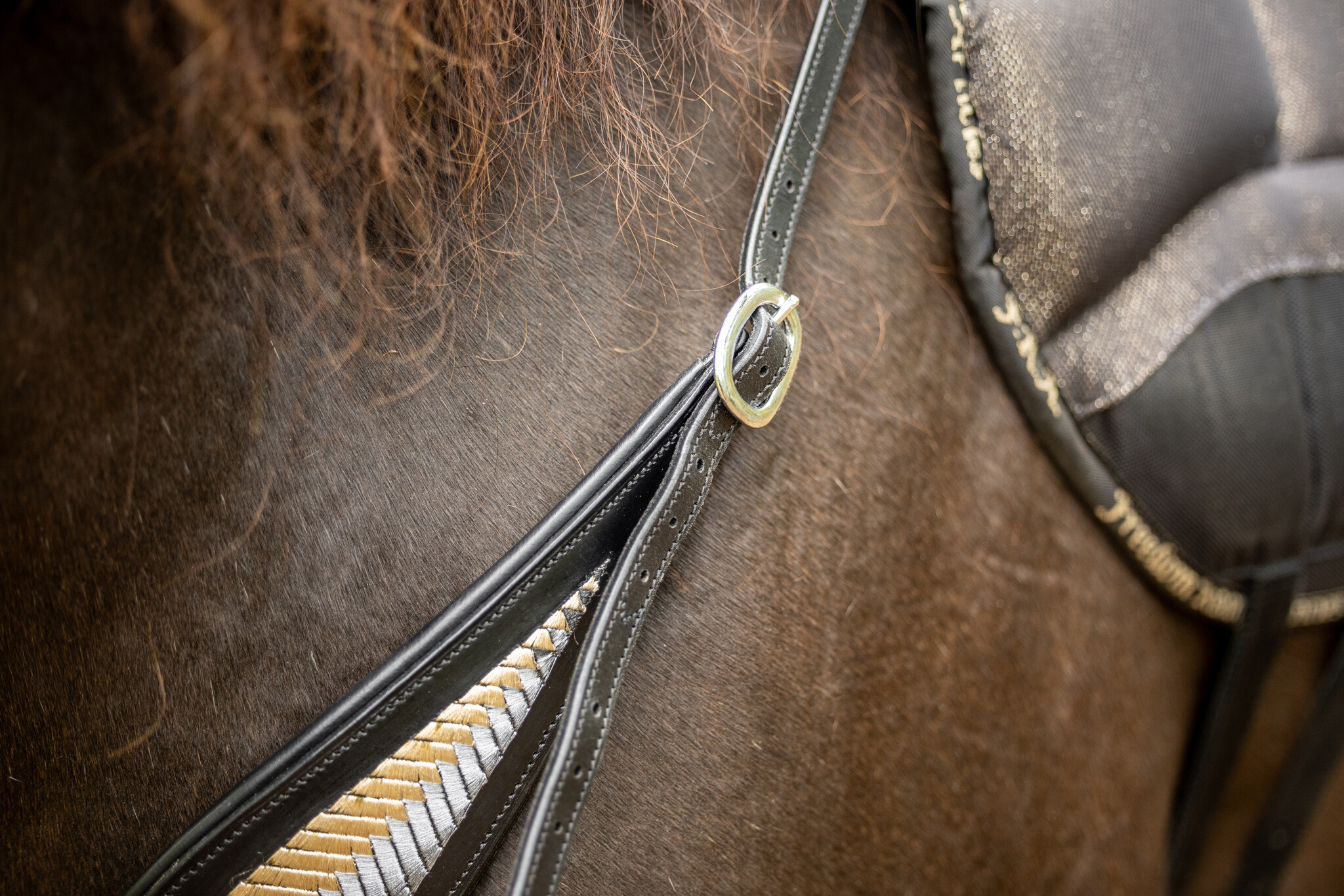 Neck rein riding ring Whisper leather