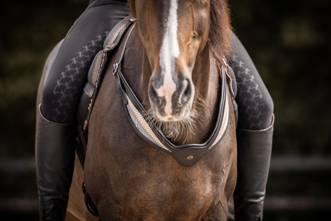 Neck rein riding ring Whisper leather