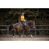 Dardo basic bareback pad