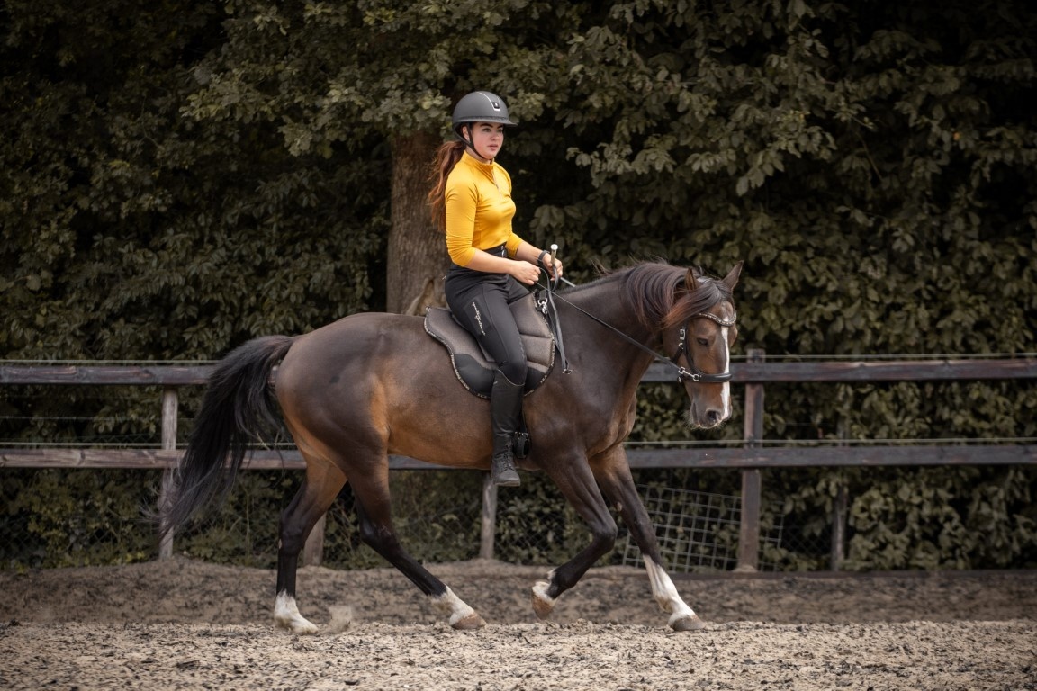 Dardo basic bareback pad