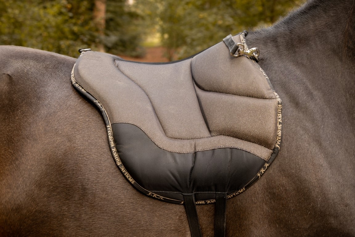 Dardo basic bareback pad