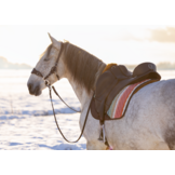 Brightstar dressage pad with inlays sheepskin