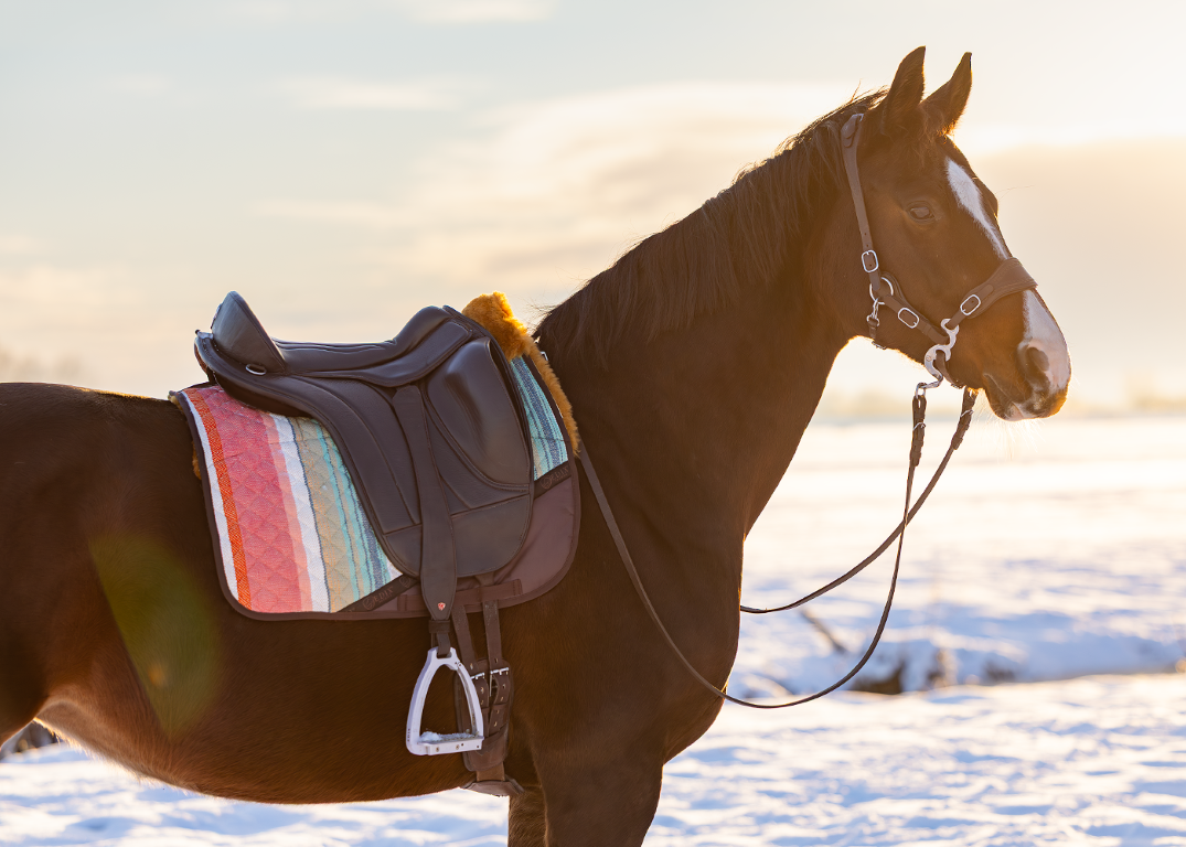 Brightstar dressuur pad met inlages lamsvel