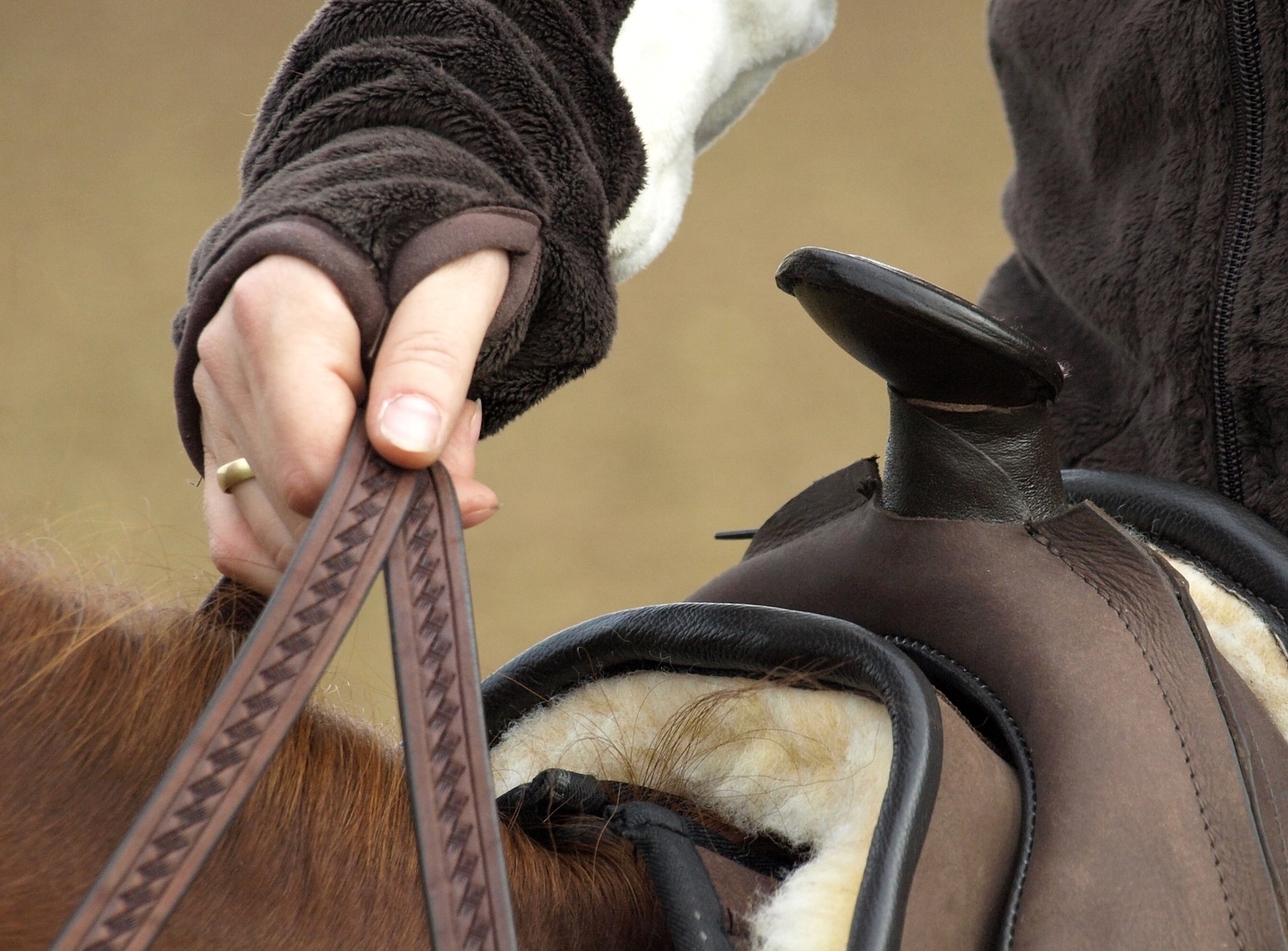 Riders Who Care Sweater Silkweed bruin